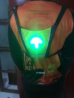 Chaleco Con Luces Led y Control Remoto
